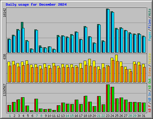 Daily usage for December 2024