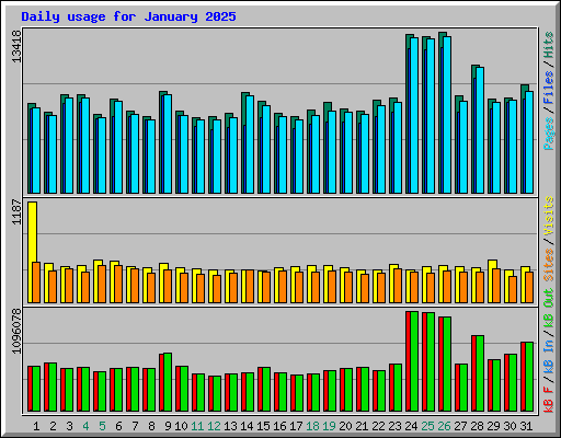 Daily usage for January 2025