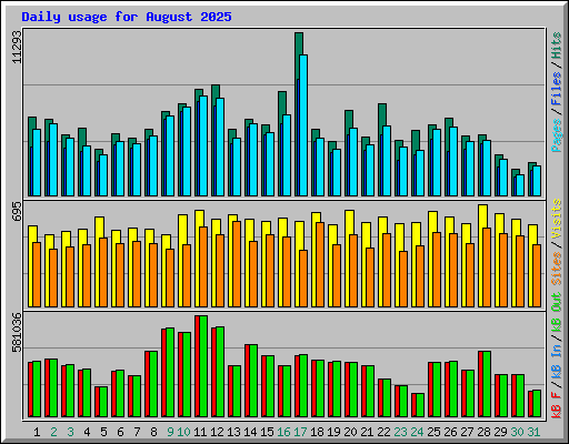 Daily usage for August 2025