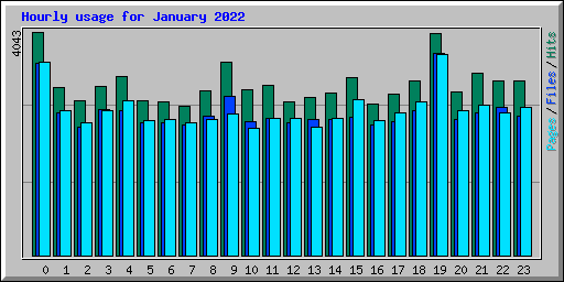 Hourly usage for January 2022