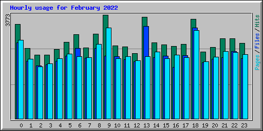 Hourly usage for February 2022