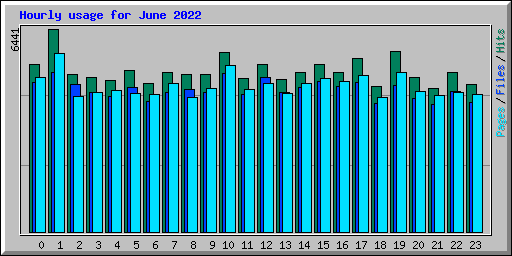 Hourly usage for June 2022