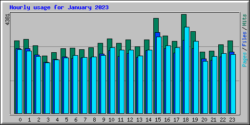 Hourly usage for January 2023