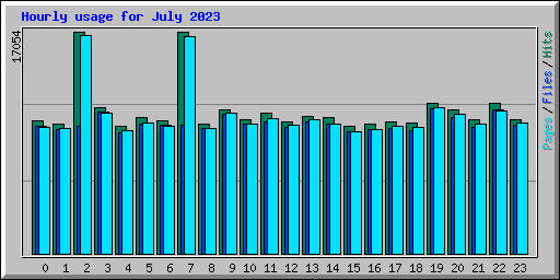 Hourly usage for July 2023