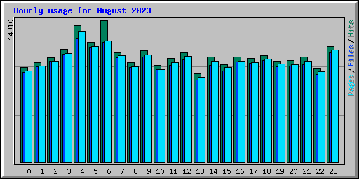 Hourly usage for August 2023