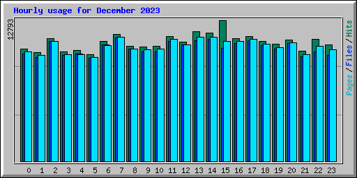 Hourly usage for December 2023