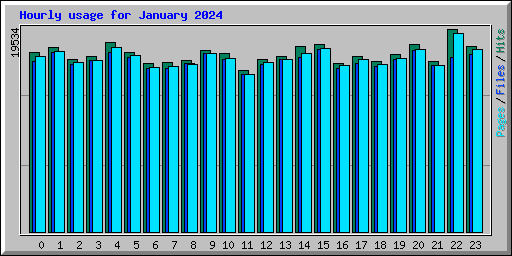 Hourly usage for January 2024