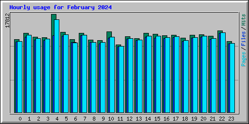 Hourly usage for February 2024