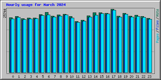 Hourly usage for March 2024