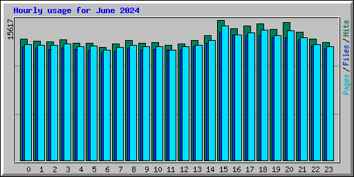 Hourly usage for June 2024