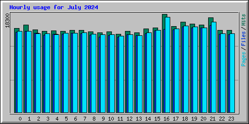 Hourly usage for July 2024