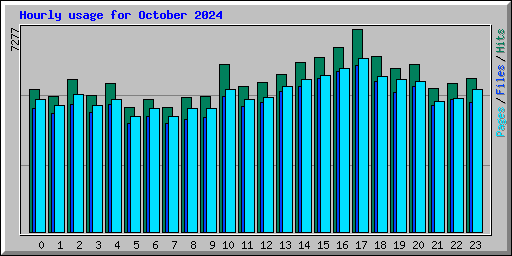 Hourly usage for October 2024