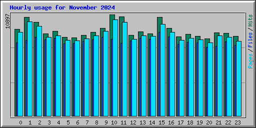 Hourly usage for November 2024
