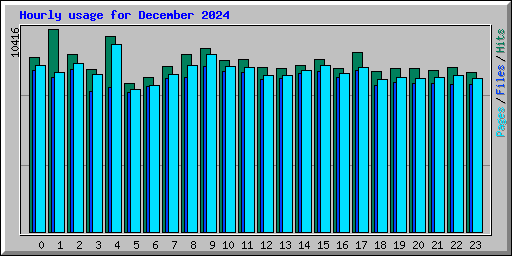 Hourly usage for December 2024