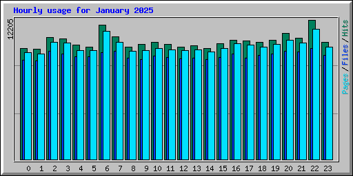 Hourly usage for January 2025