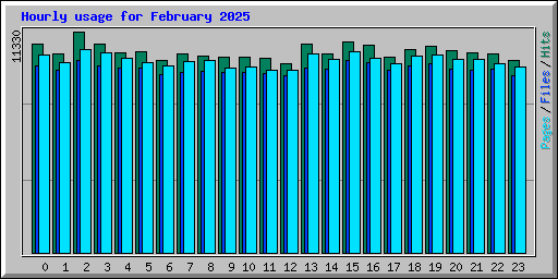 Hourly usage for February 2025