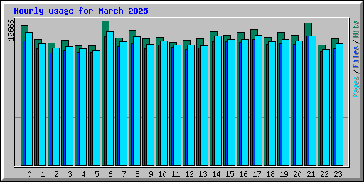 Hourly usage for March 2025