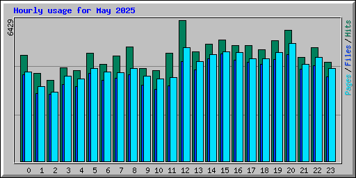 Hourly usage for May 2025