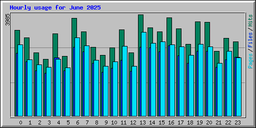 Hourly usage for June 2025