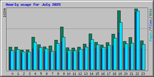 Hourly usage for July 2025