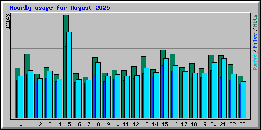 Hourly usage for August 2025