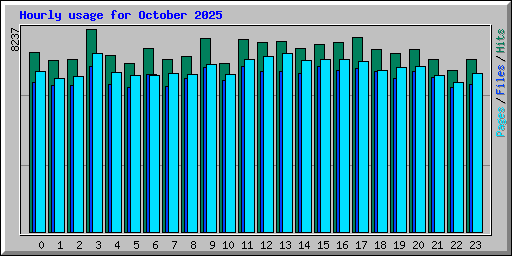 Hourly usage for October 2025