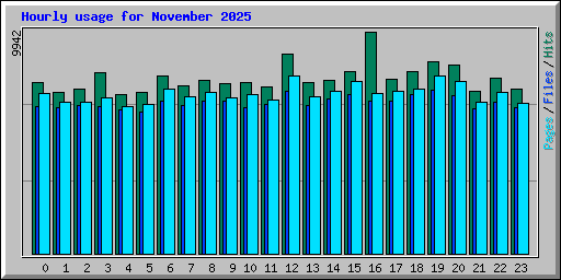 Hourly usage for November 2025