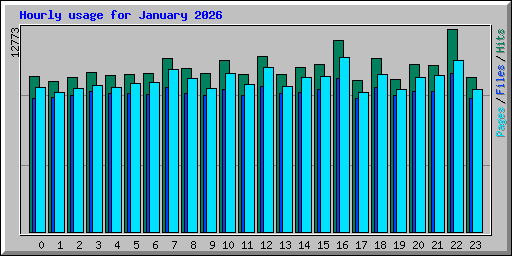 Hourly usage for January 2026