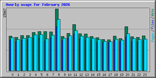 Hourly usage for February 2026